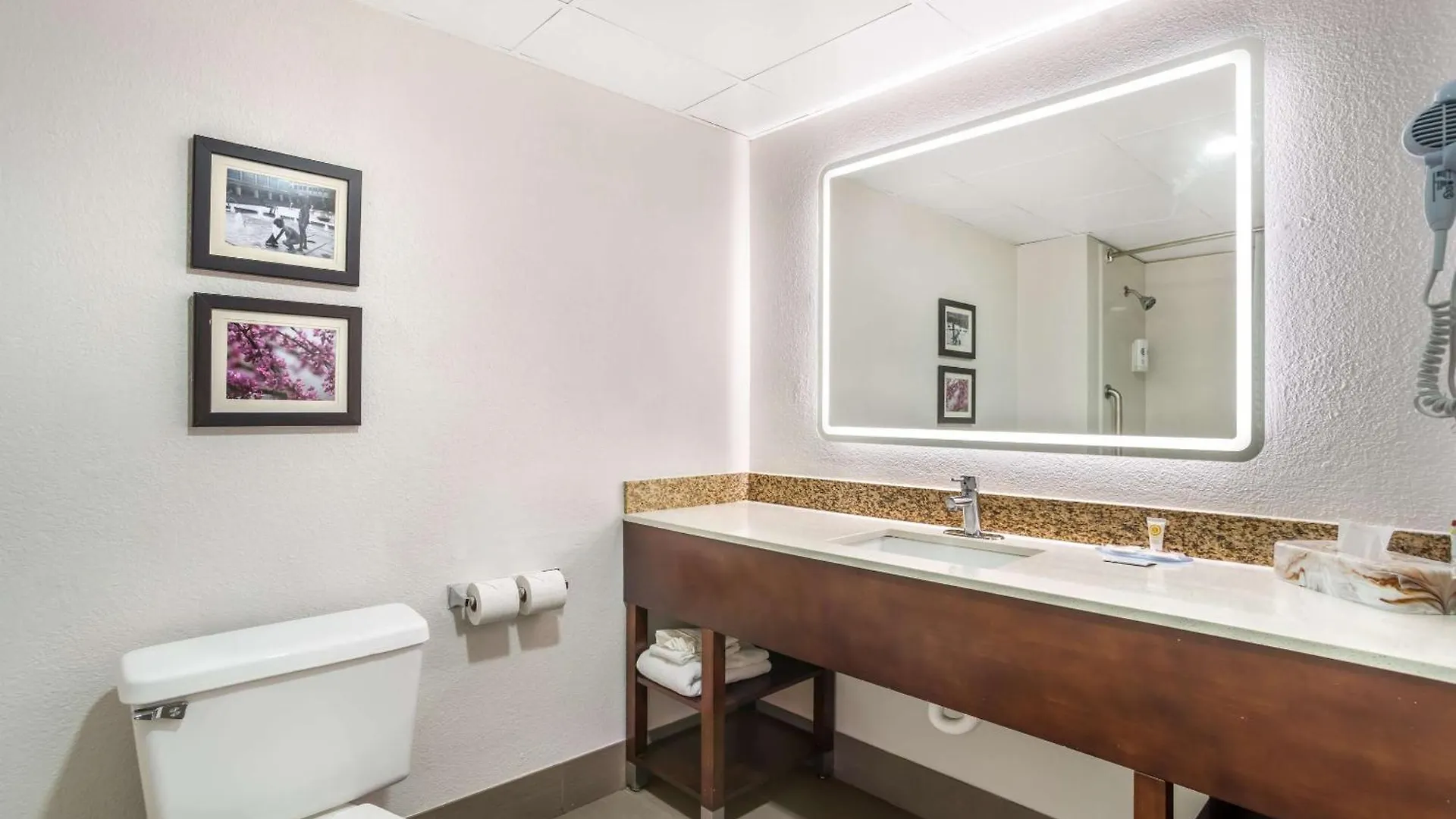 Comfort Inn Charlotte Airport Uptown